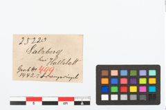 Etikett zu Bronzehohlblechring (NHMW-PRAE-025220)